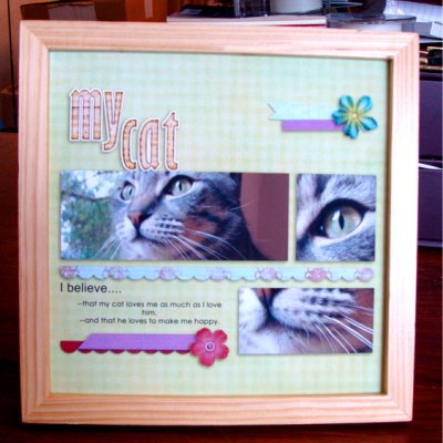 My cat