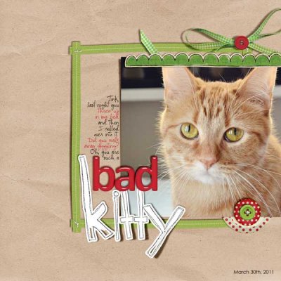 Bad Kitty