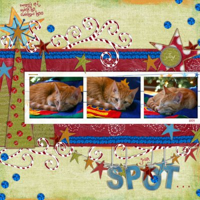 Your Spot