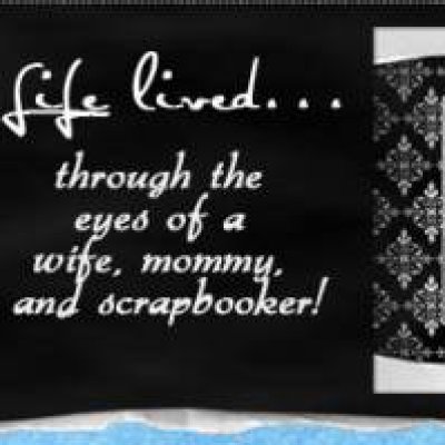 2008 Winter Blog Banner