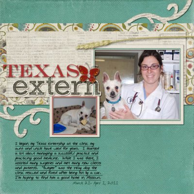 Texas extern