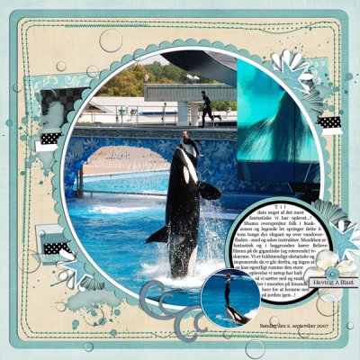Shamu Belive (p1)