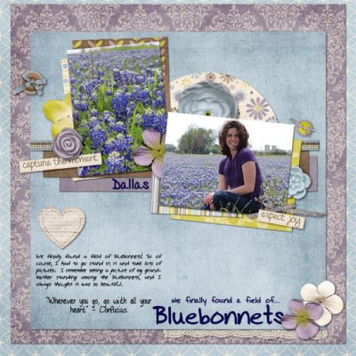 Found the Blue Bonnets