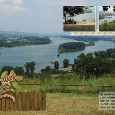 The Rhine