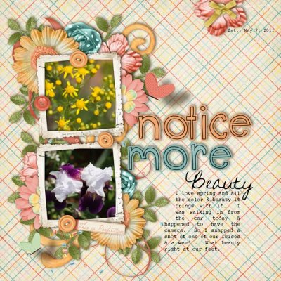 Notice More Beauty