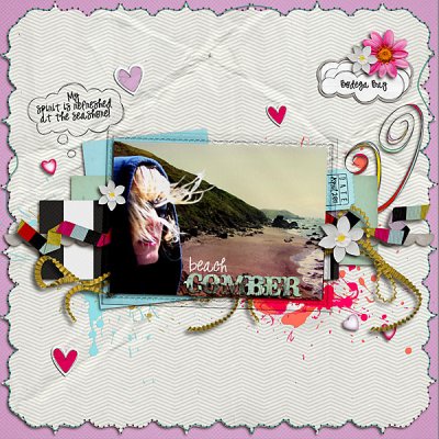 beach-COMBER