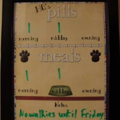 Dog Pill and Food Tracking Board