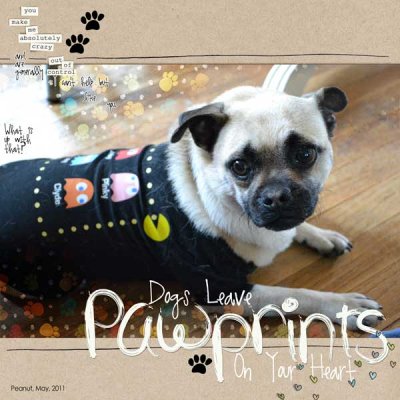 Pawprints