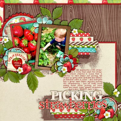 Picking Strawberries