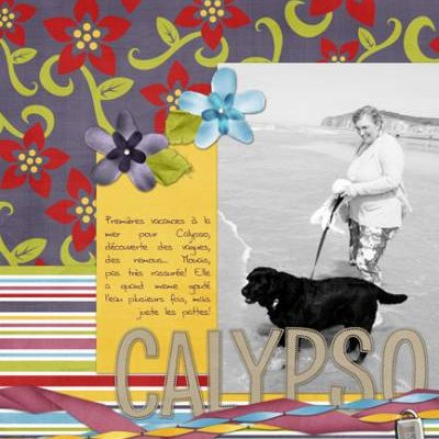 Calypso - 1st bath