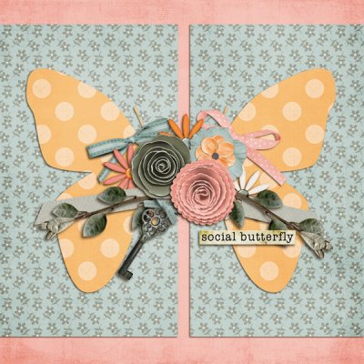Social Butterfly
