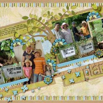 Plant A Tree