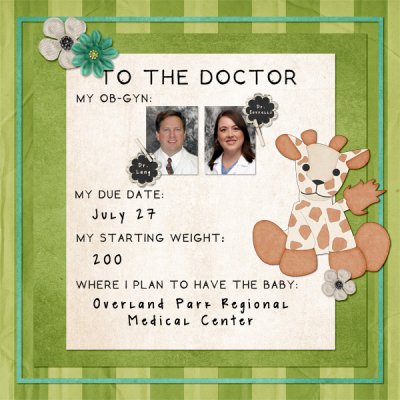 Pregnancy Album