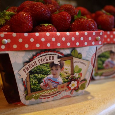 Strawberries Basket