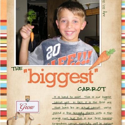 The Biggest Carrot