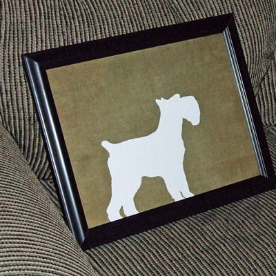 Schnauzer