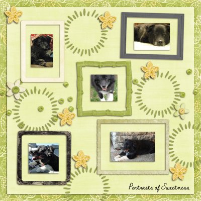 Portraits of Sweetness
