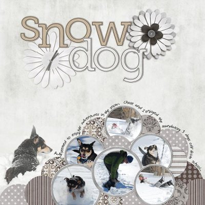 Snow doggie!