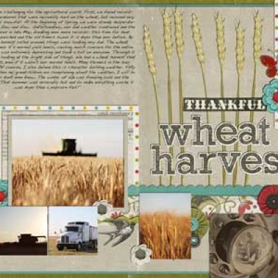 Wheat Harvest