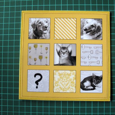 Cats and dogs revisited :: Card