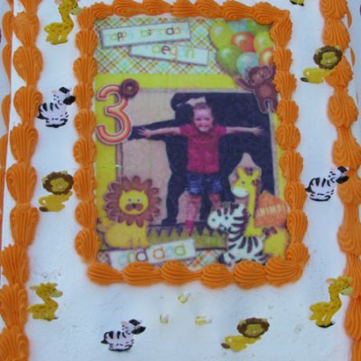 Zoo Cake