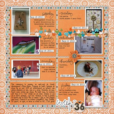 Week 36