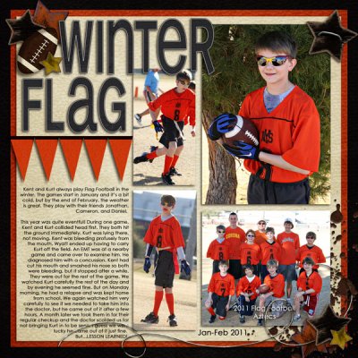 Winter Flag