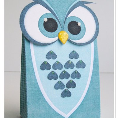 Cute Owl gift bag