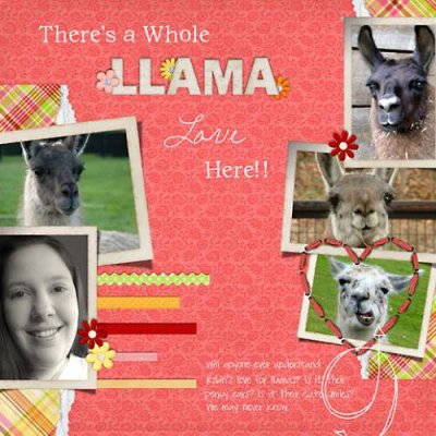 Llama Love