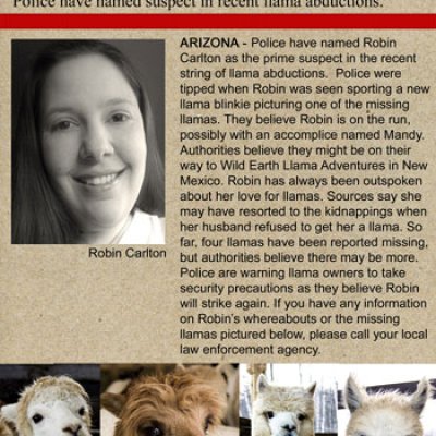 ***NEWSFLASH****