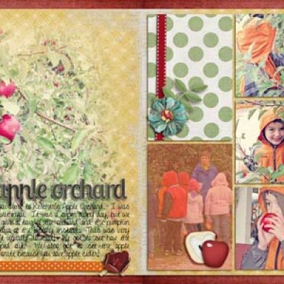 apple orchard