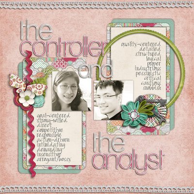 the controller & the analyst