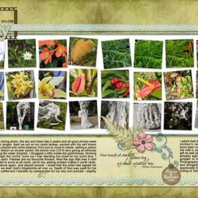 digital photography