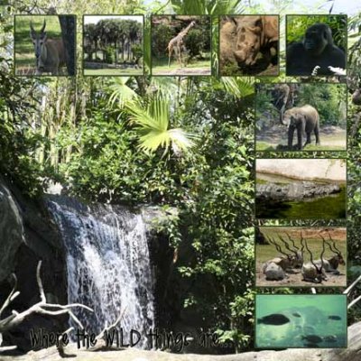Disney: Animal Kingdom