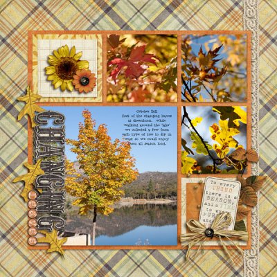 Changing Leaves