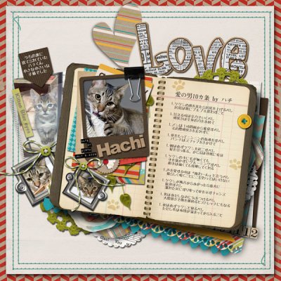 Hachi