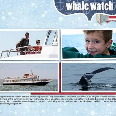 whale watch