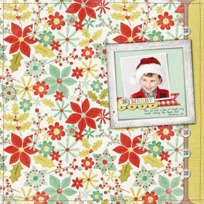 MERRY / ahg_121311