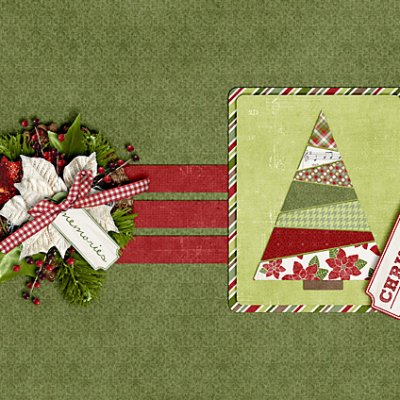 December Daily 2011 Front & Back Cover