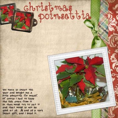 Christmas Poinsettia