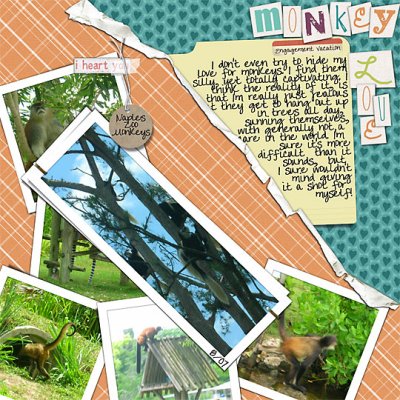 Monkey Love