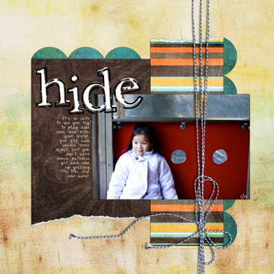 Hide