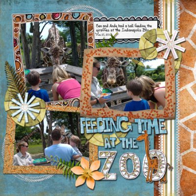 Feeding Time at the Zoo