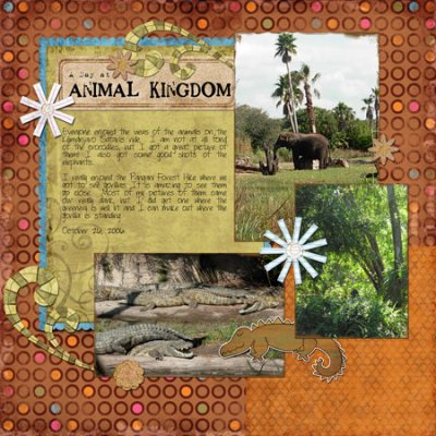 A Day at the Animal Kingdom