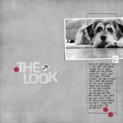 The Look