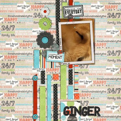 Ginger
