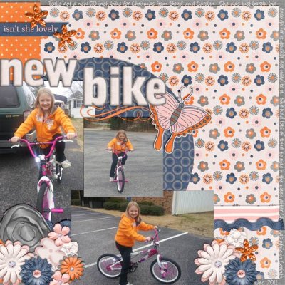 New Bike
