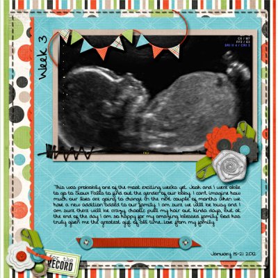 Project 365 week 3 (left page)