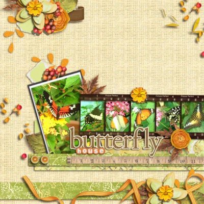 Butterfly House