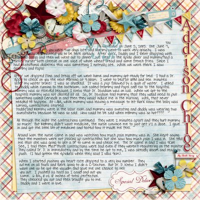 birthstoryweb
